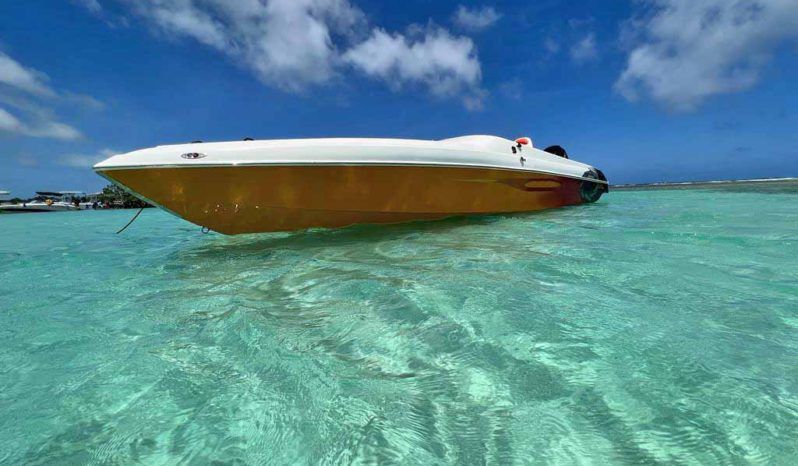 
								BLACK JACK OFF-SHORE 26 full									