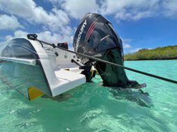 
										BLACK JACK OFF-SHORE 26 full									