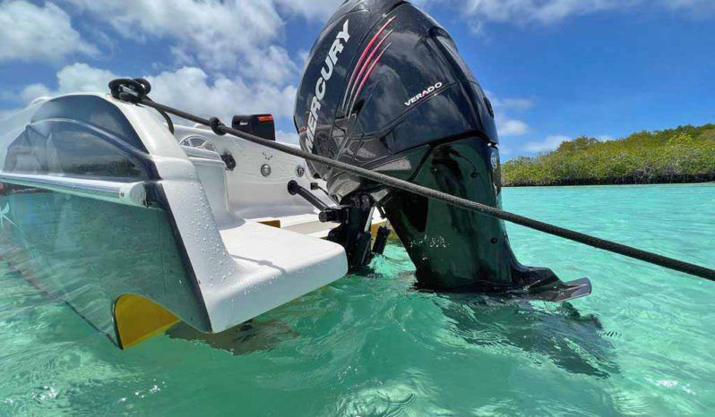 
								BLACK JACK OFF-SHORE 26 full									