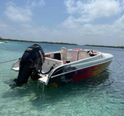 
										BLACK JACK OFF-SHORE 26 full									