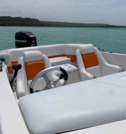 
										SANTOS SPORT 21 full									