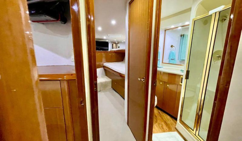
								VIKING CONVERTIBLE 52 full									