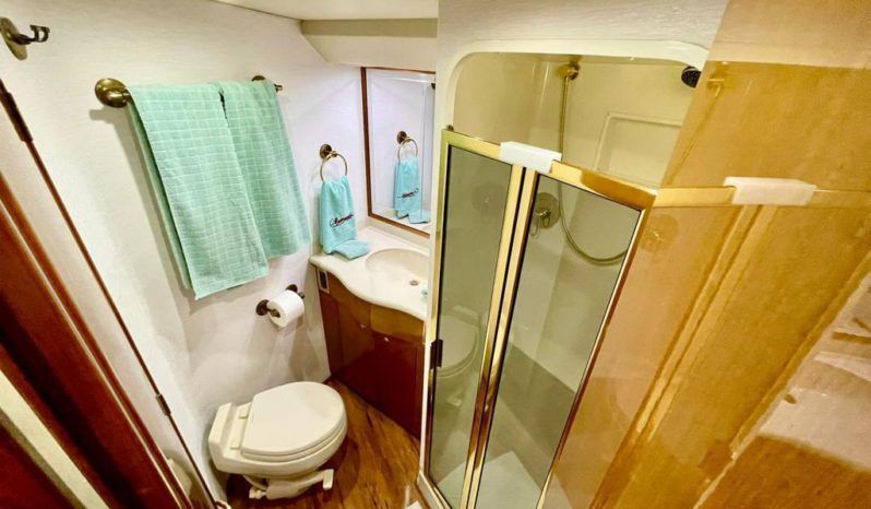 
								VIKING CONVERTIBLE 52 full									
