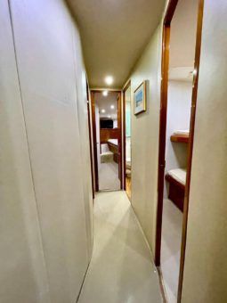 
										VIKING CONVERTIBLE 52 full									