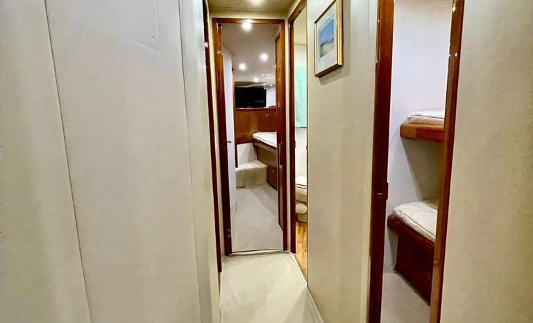 
								VIKING CONVERTIBLE 52 full									