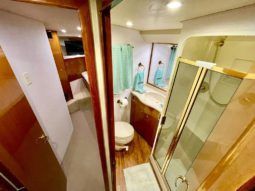 
										VIKING CONVERTIBLE 52 full									