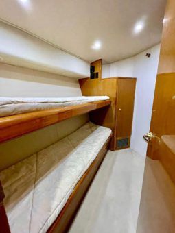 
										VIKING CONVERTIBLE 52 full									