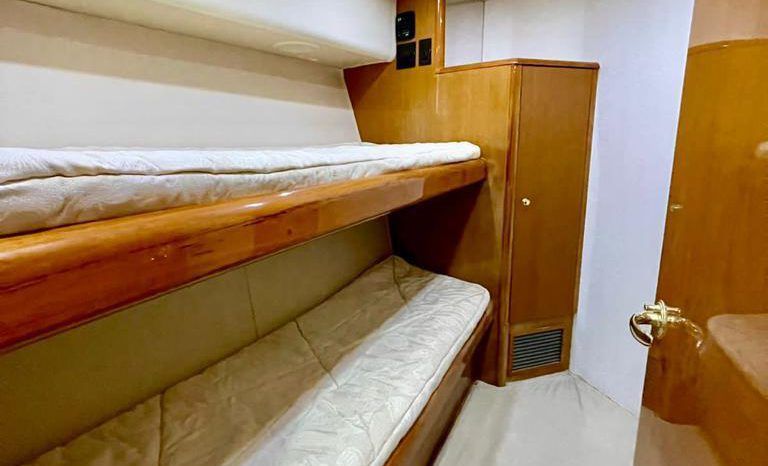 
								VIKING CONVERTIBLE 52 full									
