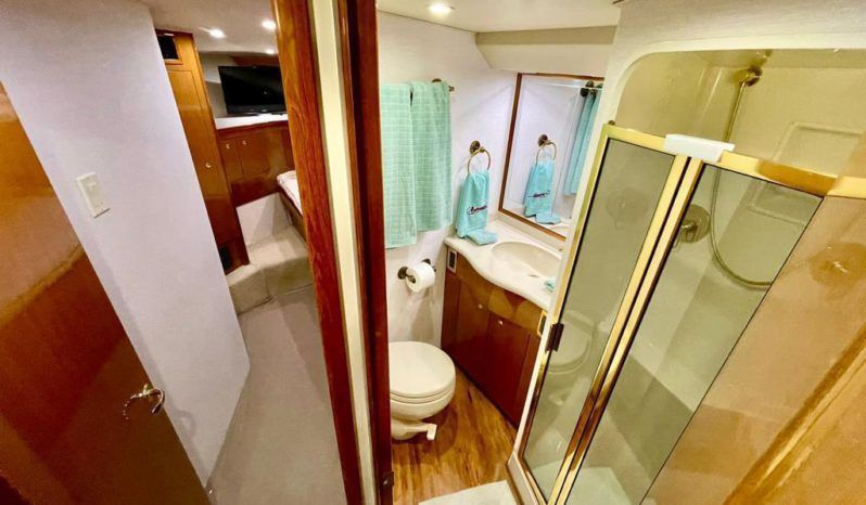 
								VIKING CONVERTIBLE 52 full									