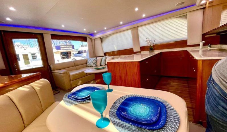 
								VIKING CONVERTIBLE 52 full									