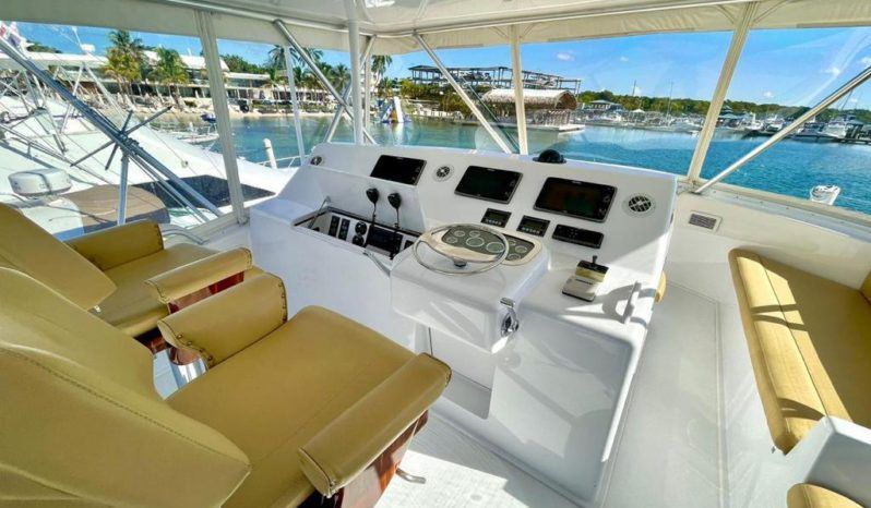 
								VIKING CONVERTIBLE 52 full									
