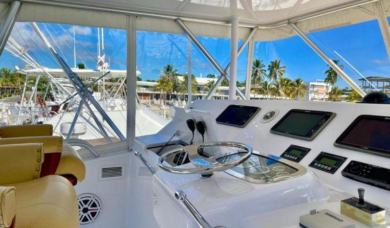 
								VIKING CONVERTIBLE 52 full									