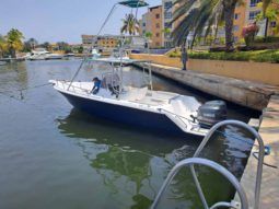 
										CORALINE 28 full									