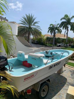 BOSTON WHALER 13 full