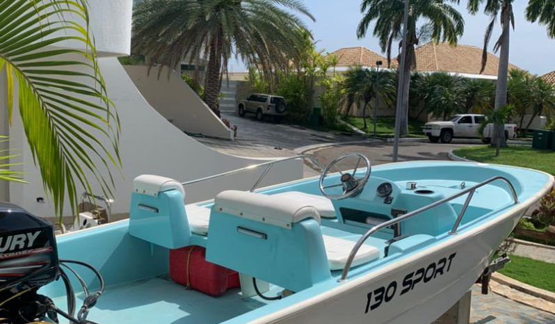 BOSTON WHALER 13 full