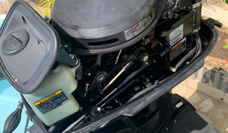 BOSTON WHALER 13 full