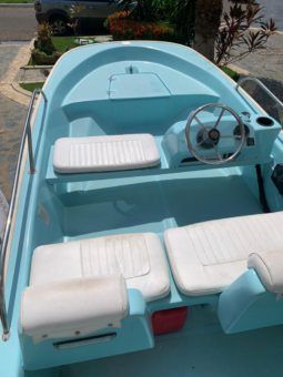 BOSTON WHALER 13 full