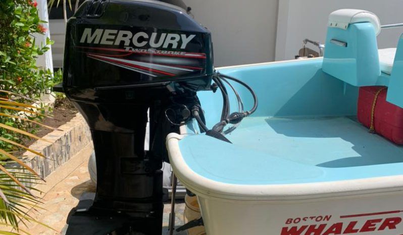 BOSTON WHALER 13 full