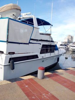 
										WINTER WIND 43 full									