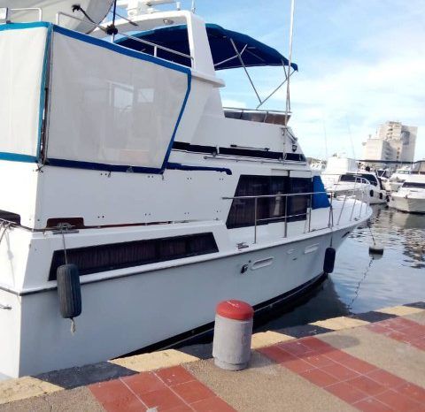 
								WINTER WIND 43 full									