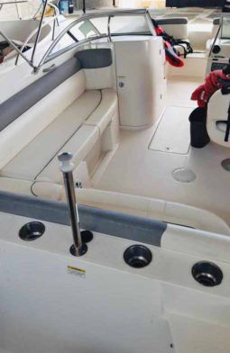 
										BAYLINER 21 full									