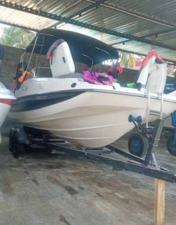 
										BAYLINER 21 full									