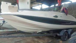 
										BAYLINER 21 full									