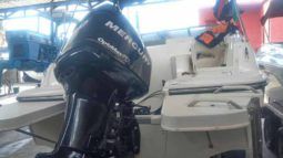
										BAYLINER 21 full									