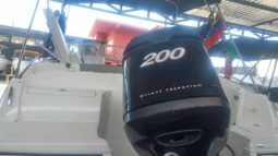 
										BAYLINER 21 full									