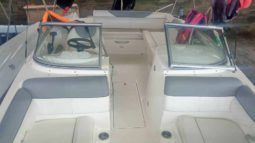 
										BAYLINER 21 full									