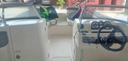 
										BAYLINER 21 full									