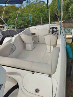 
										EVOLUTION SPORT 22 full									
