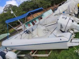
										EVOLUTION SPORT 22 full									
