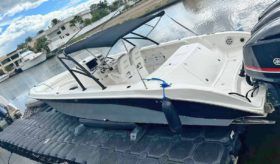 BARRACUDA OPEN 36