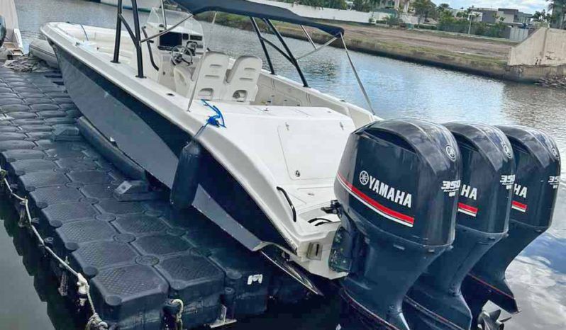 
								BARRACUDA OPEN 36 full									