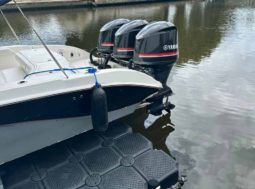 
										BARRACUDA OPEN 36 full									