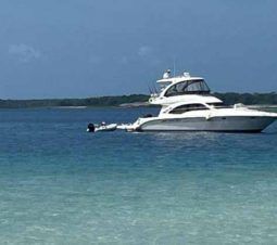 
										SEA RAY SEDAN BRIDGE 52 full									