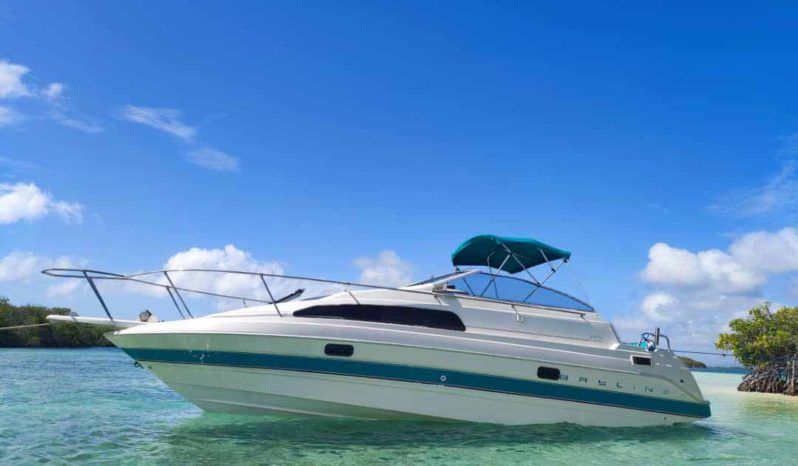 
								BAYLINER 26.5 full									