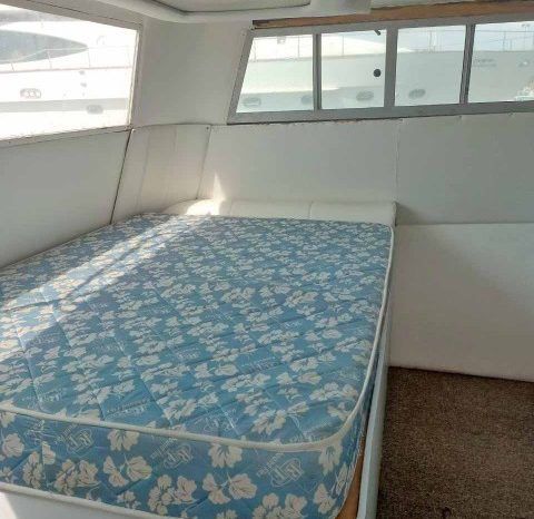 
								CRUISERS YACHTS 3850 42 full									