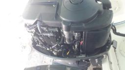 
										SEA RAY SEDAN BRIDGE 52 full									
