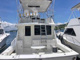 
										HATTERAS CONVERTIBLE 50 full									