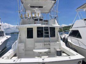 HATTERAS CONVERTIBLE 50