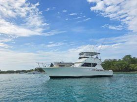 HATTERAS CONVERTIBLE 50