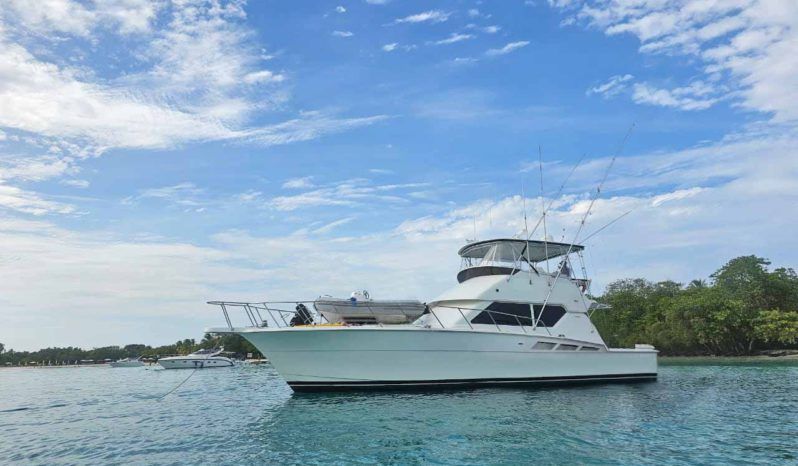 
								HATTERAS CONVERTIBLE 50 full									