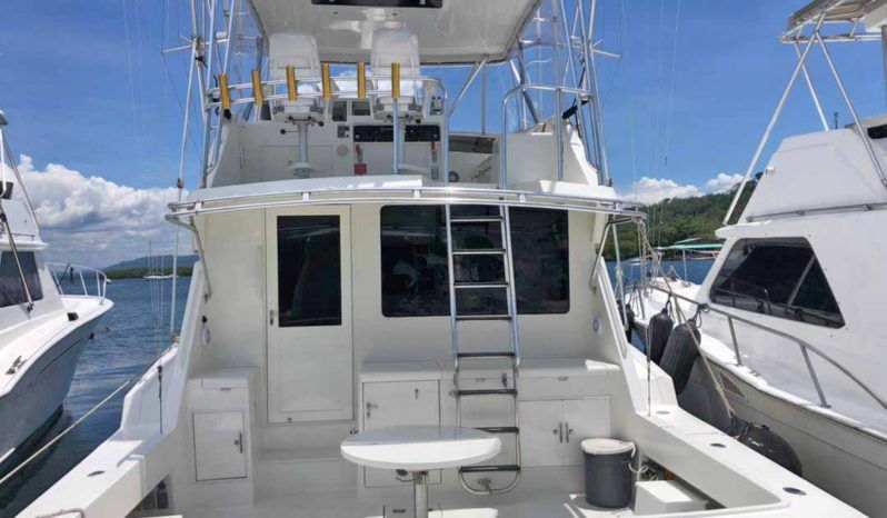 
								HATTERAS CONVERTIBLE 50 full									