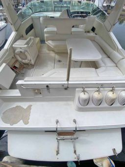 
										SEA RAY SUNDANCER 44 full									