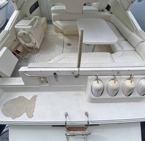 
								SEA RAY SUNDANCER 44 full									
