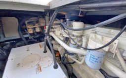 
										SEA RAY SUNDANCER 44 full									
