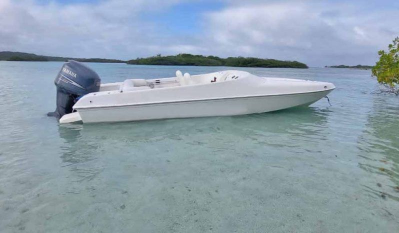 BLACK JACK SPORT 21 full
