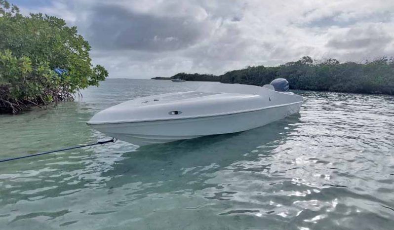 BLACK JACK SPORT 21 full